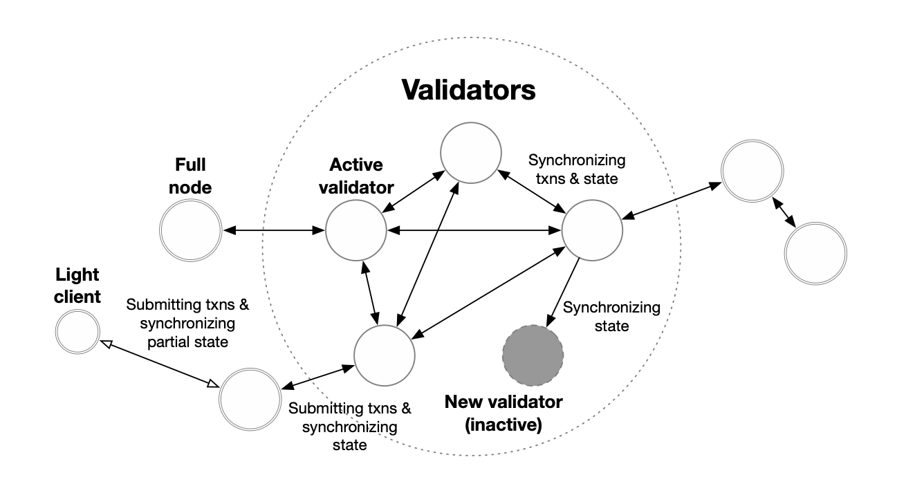 Aptos Blockchain 101: In-depth guide to Aptos chain - Hacken