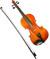 viola.jpg