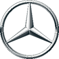 A silver star in a circle

Description automatically generated