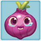 Onion.png