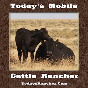 Today's Mobile Cattle Rancher apk Download