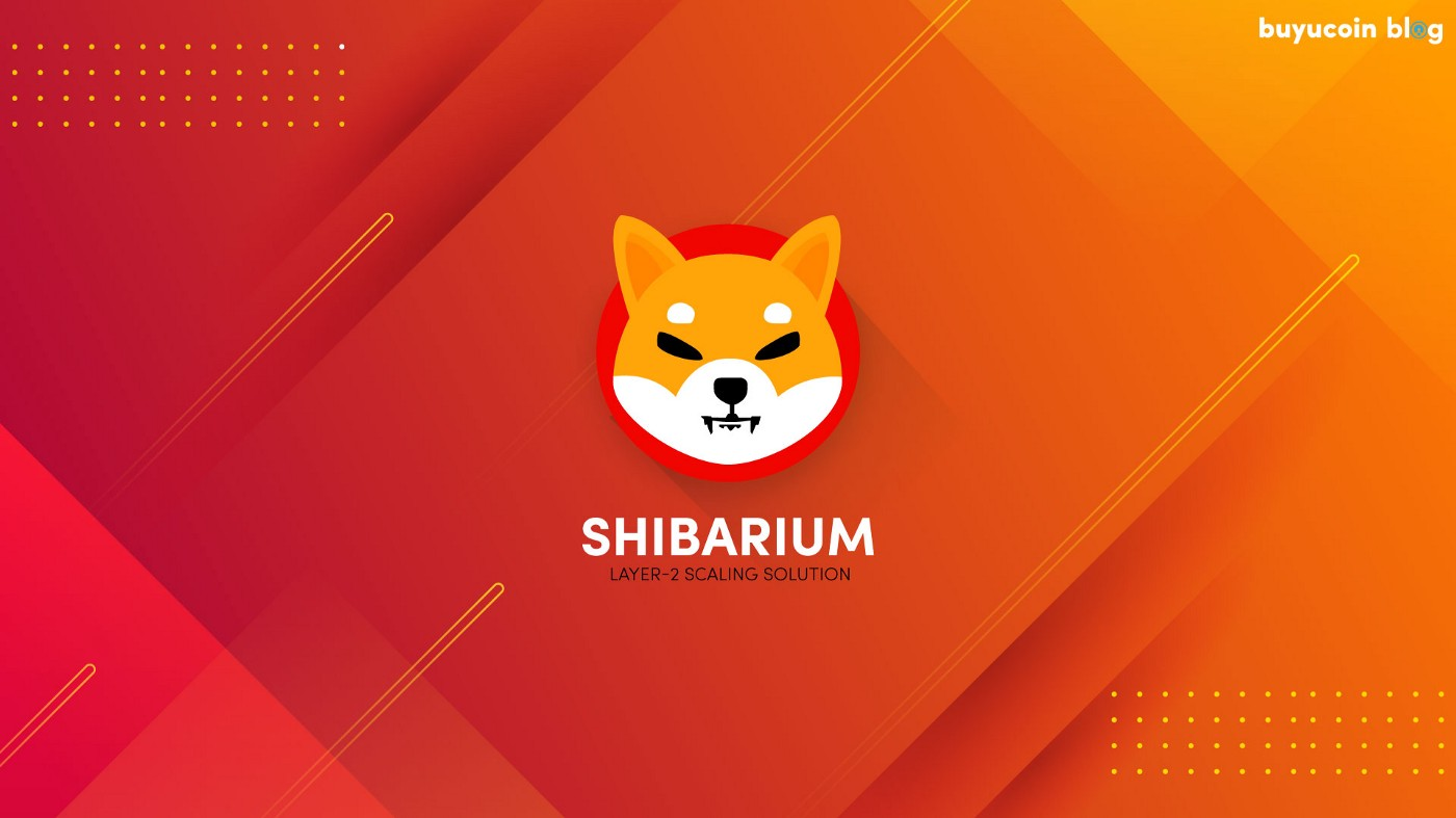 Blog - Shibarium Blockchain Layer-2 Solution