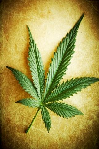 Download Marijuana Live Wallpaper apk