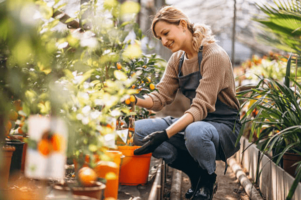 Feel Self - Worth in the work of gardening