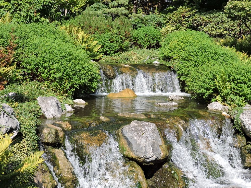 Setagaya Park - Japanischer Garten Wien | Travelcontinent
