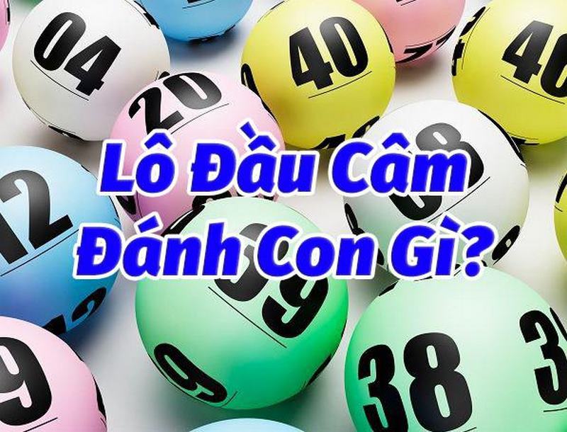 Lô đầu câm thì đánh con gì dễ trúng lớn dành cho anh