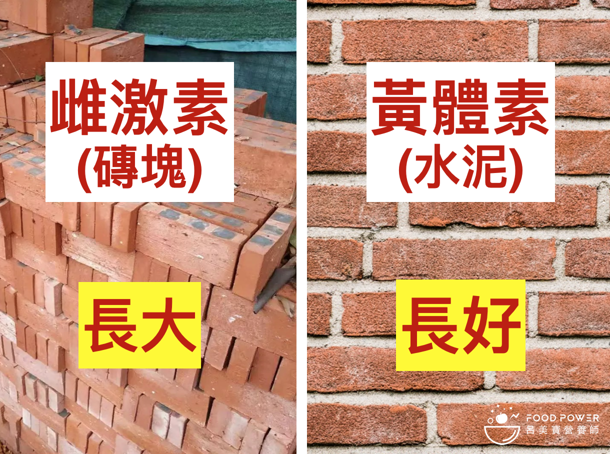 身體莫名水腫、疲累？二十歲就有經前症候群怎麼辦？