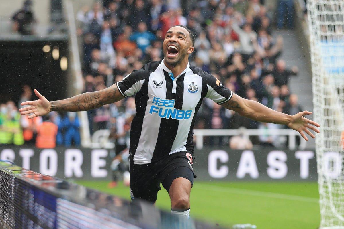 Newcastle United FPL Assets to Target from FPL GW17  ~ Callum Wilson 
