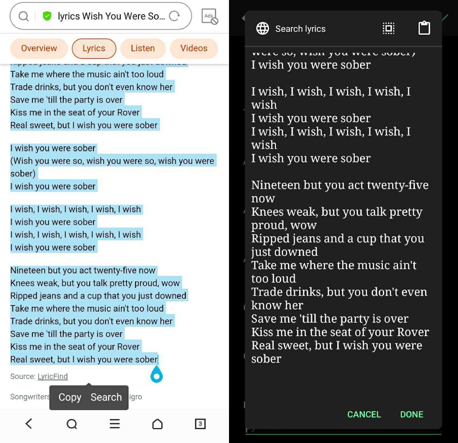 Copy the lyrics and paste them on the app