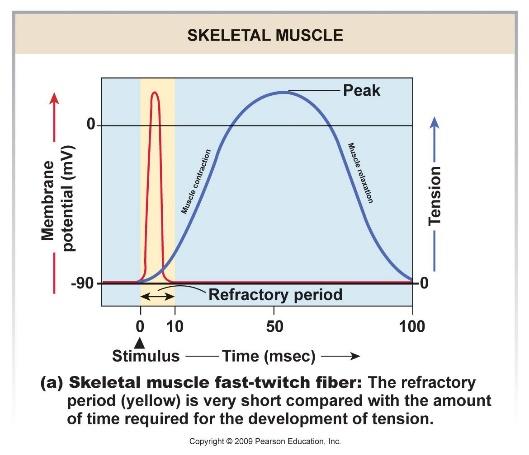 figure_14_14a_labeled