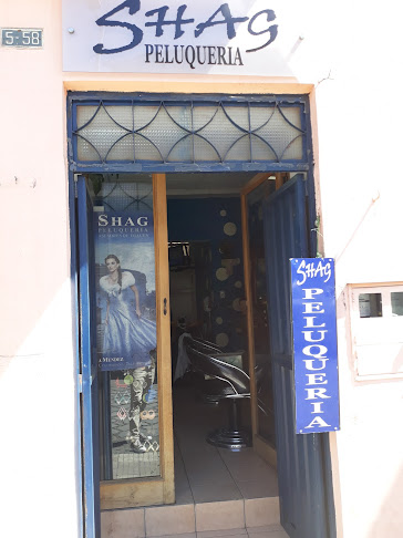 Shag Peluqueria