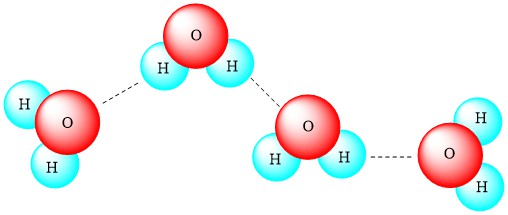 força de interação: ligação de hidrogênio 