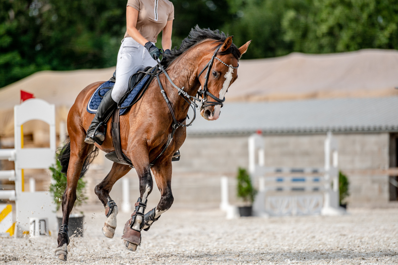 horse riding on soft surface