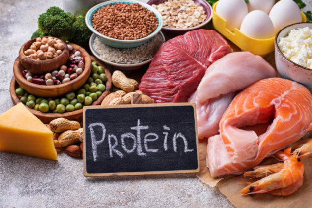 Ăn nhiều protein có béo không? Chuyên gia giải đáp