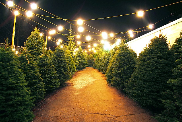 Így néz ki egy hagyományos karácsonyfa vásár
