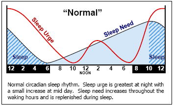 Researchers have found that hair follicles contain a signature of the 24-hour circadian clock that sets our sleeping habit… | Circadian rhythm, Rhythms, Need sleep