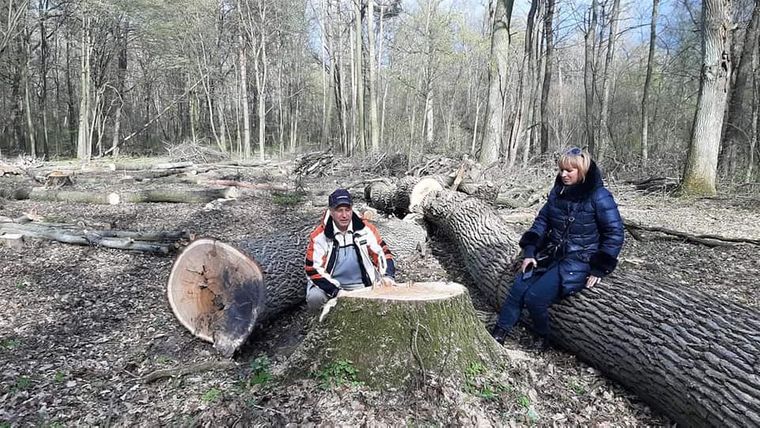 Активисты показывают свежую вырубку леса на территории Национального природного парка «Голосеевский» в Киеве, который входит в «Изумрудную сеть» Украины