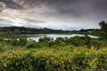 Le CIS Iles de Lérins détient l'écolabel Européen. L'île Sainte Marguerite est classée Zona Natura 2000.