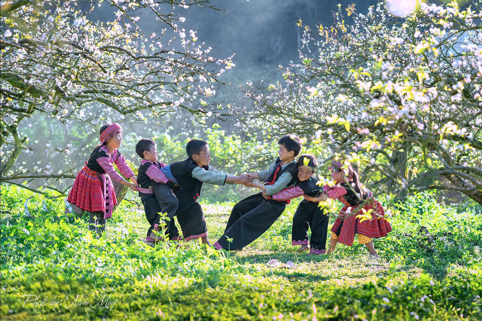 local children play together in white plum flower valley