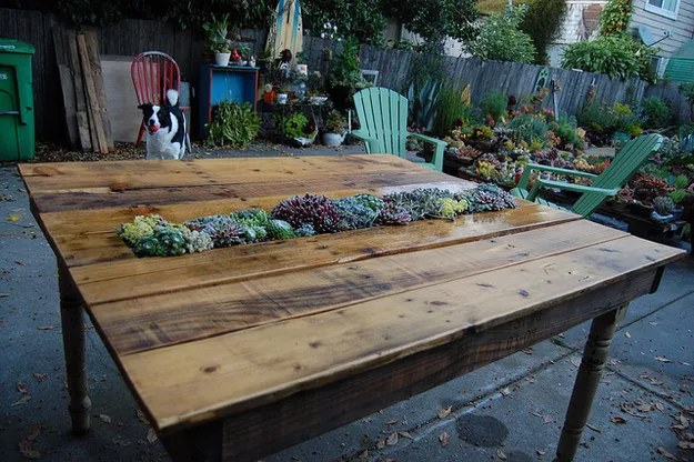 wooden pallet table with succulents