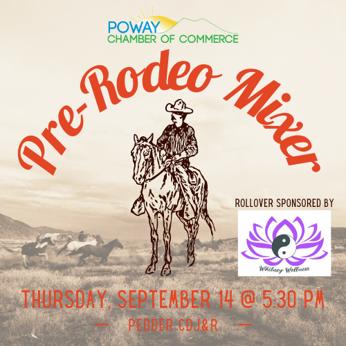 A poster for a rodeo eventDescription automatically generated