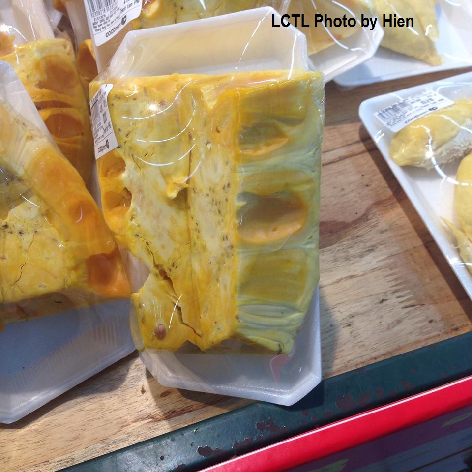 jackfruit.jpg
