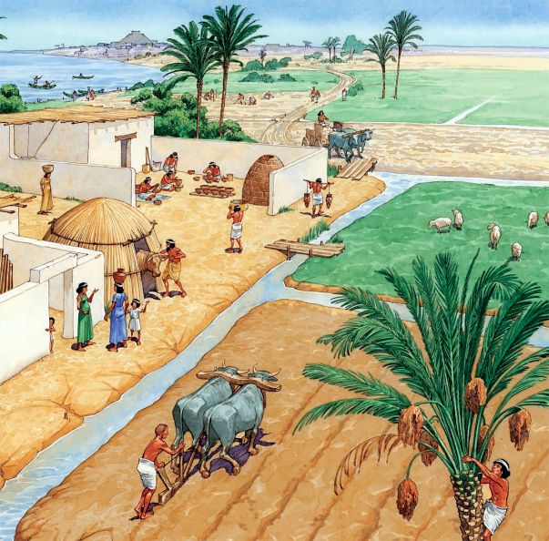 Indus Valley Civilization agriculture was based... | Sutori