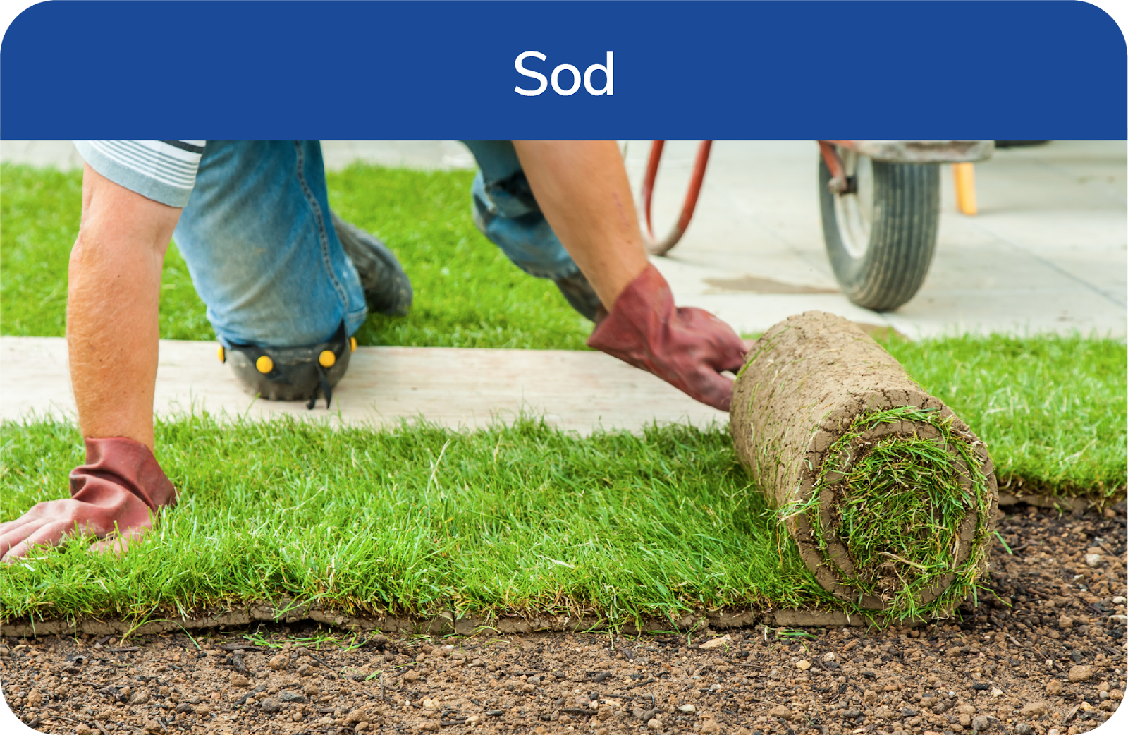 sod being rolled out