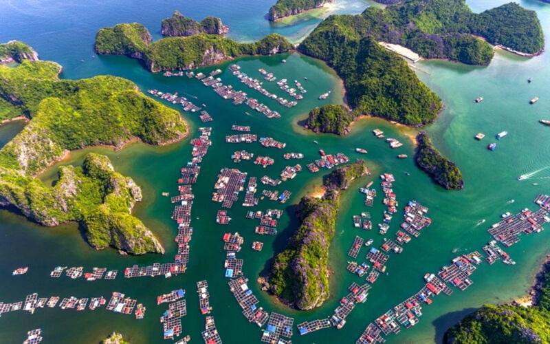 Alt: Hòn ngọc Cát Bà