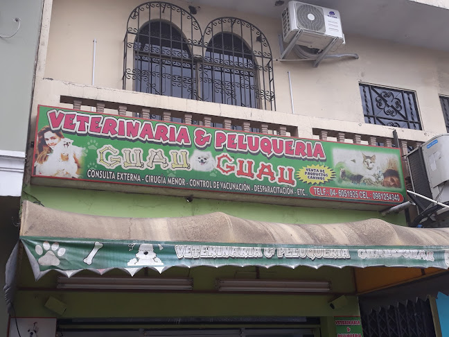 Clínica Veterinaria y Peluquería Guau Guau, Veterinarias en Guayaquil, Médico Veterinario - Guayaquil