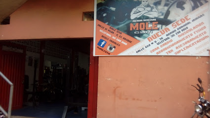 MOLE GYM - Calle 62C No. 11-36, Accion Comunal Minitas, Manizales, Caldas, Colombia