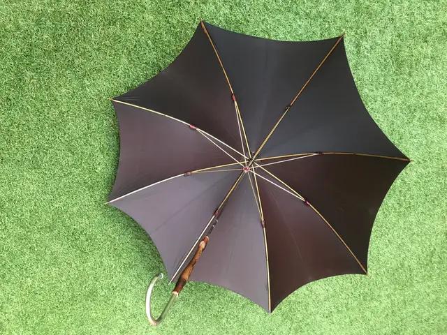 paraguas antiguos