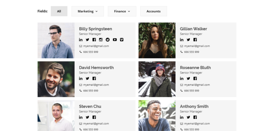 Modern Team Showcase Premium WordPress Plugin