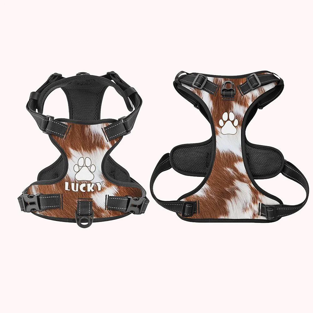 harnais de poitrine en cuir de vache pour chien, personnalisé avec le nom du chien
