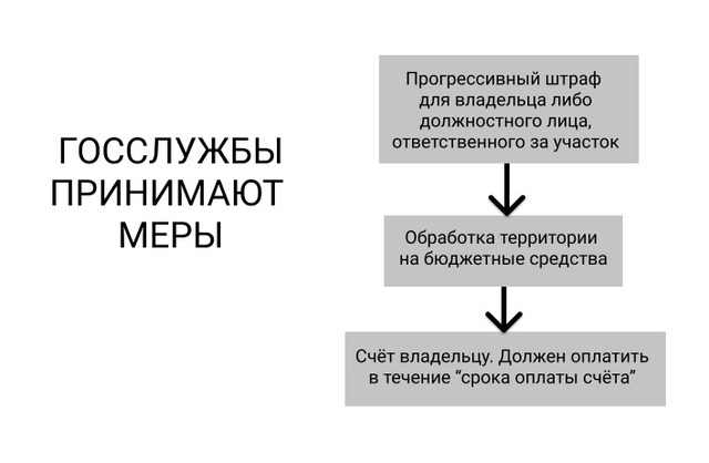 Штраф собственнику земли за бездействие по участку с борщевиком