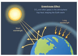 Image result for green house effects