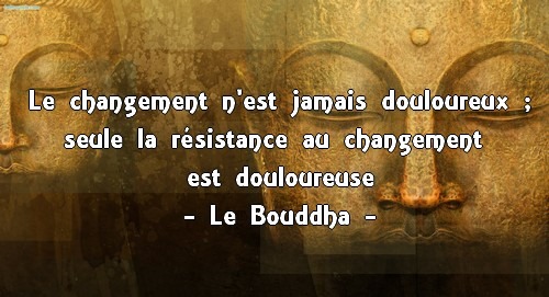 L’image contient peut-être : texte