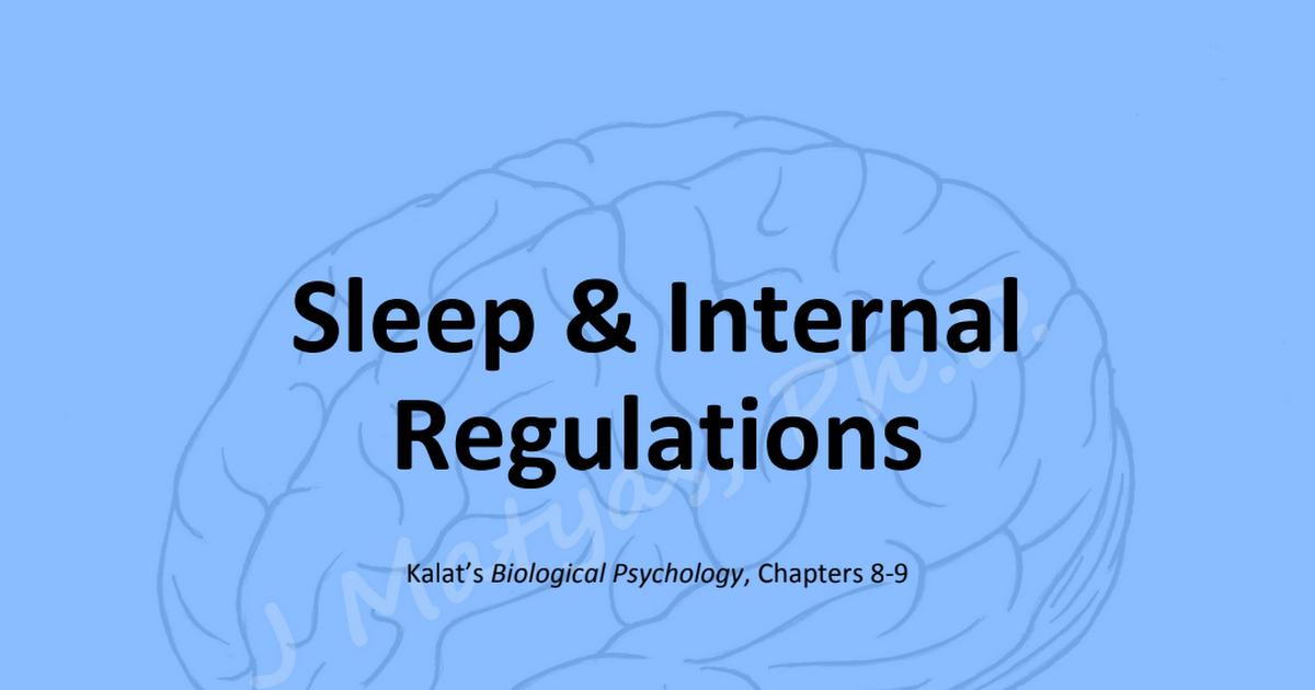 W4 - Sleep  Internal Regulations - RU-RKT.pptx