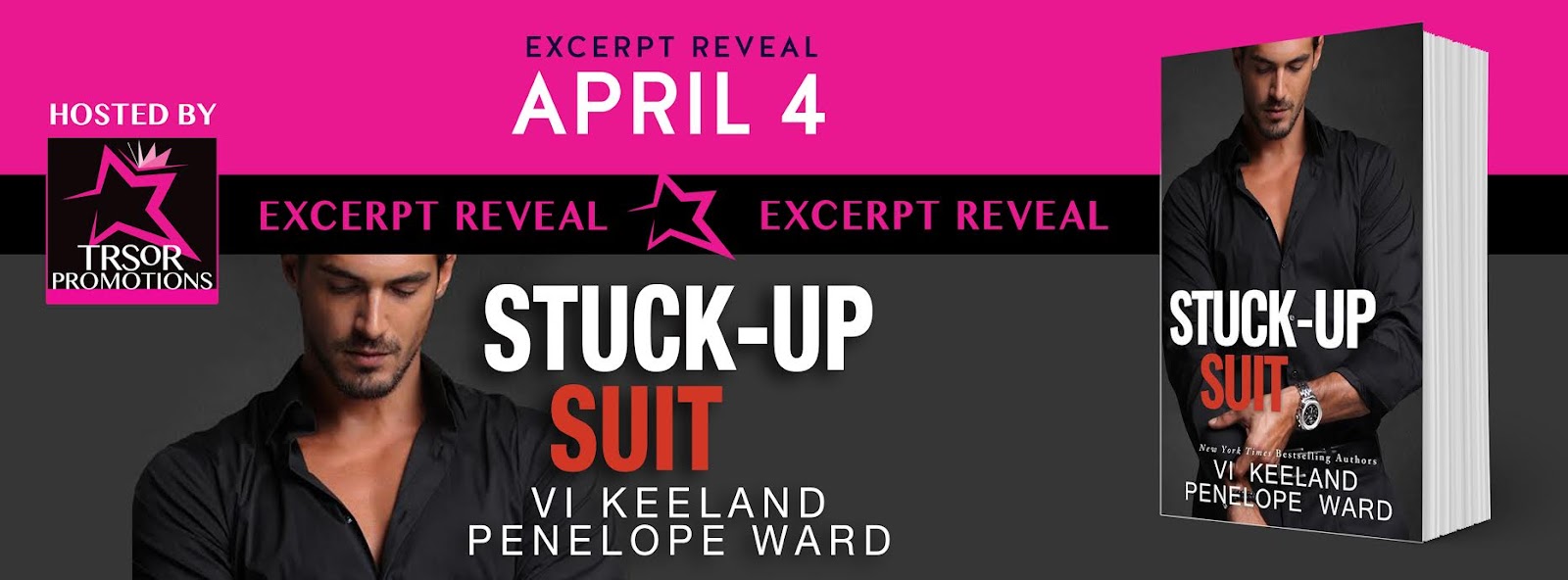 stuck up suit excerpt reveal 1.jpg