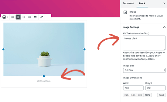 Adicionando texto alternativo e legenda a uma imagem no WordPress