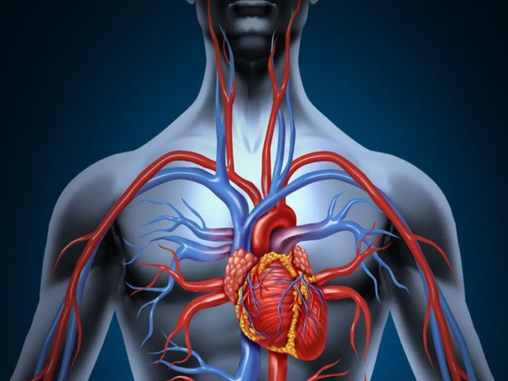Как проявляется инфаркт миокарда