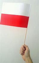 Obraz znaleziony dla: flaga polski choragiewka