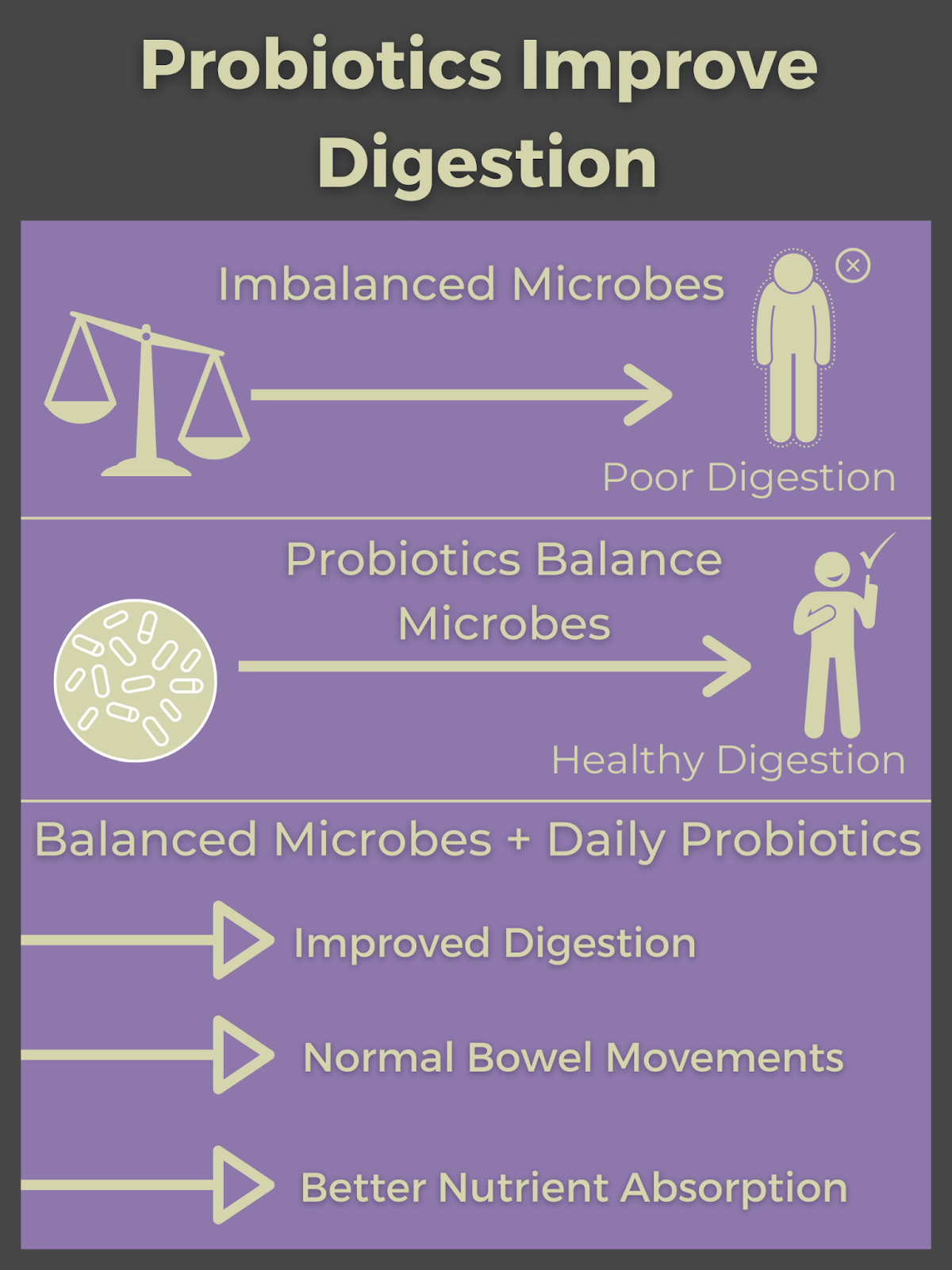 role of probiotics on digestive system