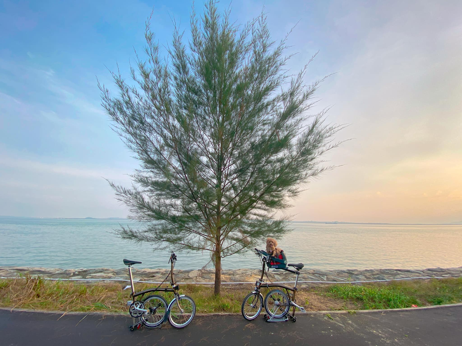 Changi Bay Point