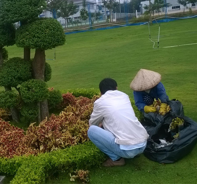 Chăm sóc sau khi trồng cũng cần đặc biệt lưu ý