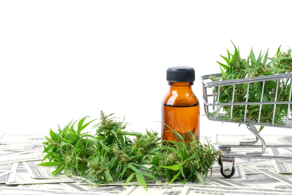 cannabis-with-cannabidiol-extract-isolated