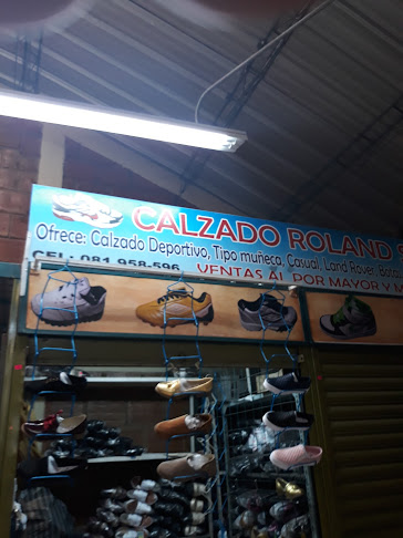 Calzado Roland