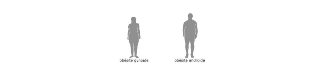 Obésité gynoide et androide