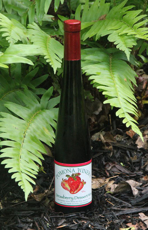 Pomona Winery Strawberry Dessert Wine Best Wines Illinois