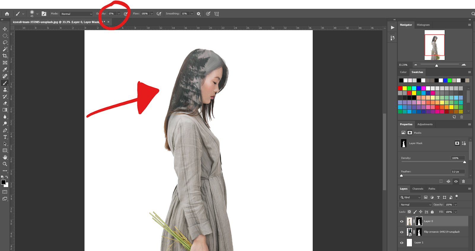 double exposure in Photoshop - Brush